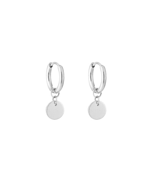 Muntje oorhangers zilver
