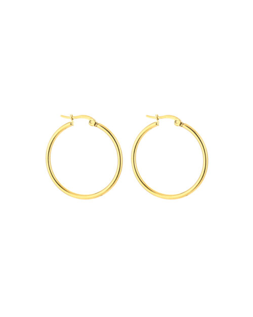 Basic oorringen goud