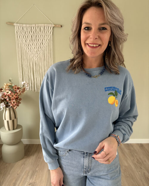 Sweater lemons blauw