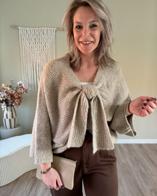 Trui met strik beige