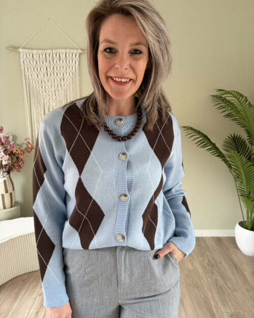 Sweater-vest ruit blauw