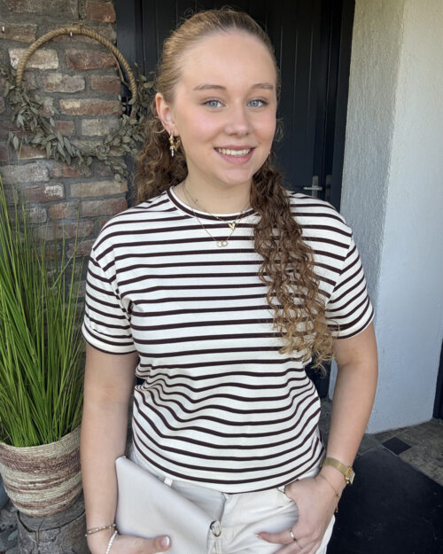 Tee stripes choco-wit