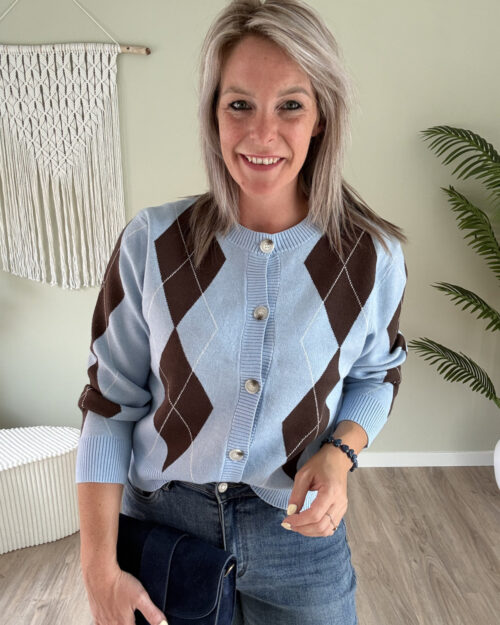 Vest ruit blauw-bruin
