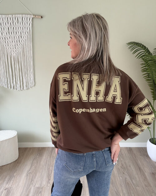 Sweater copenhagen bruin