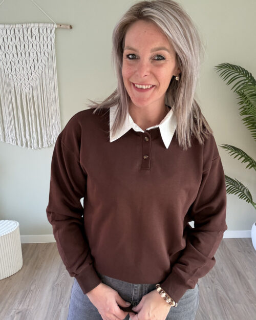 Polo sweater choco