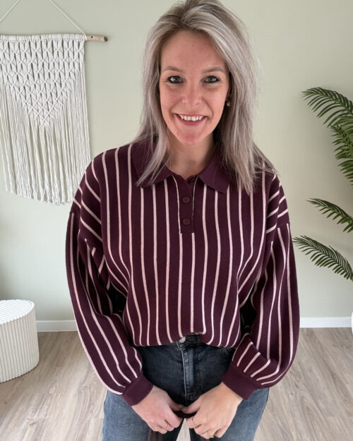 Sweater stripes bordeaux-roze